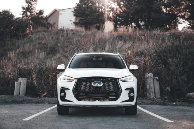 Wildz Casino Aplicación Android/iOS